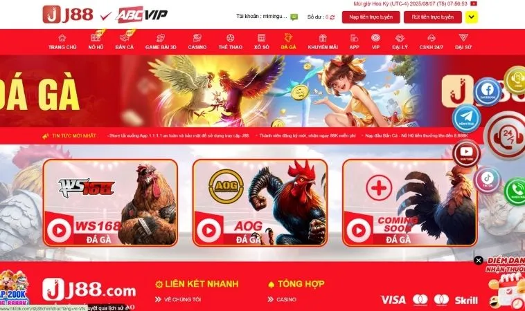 Sảnh Đá Gà J88 thiết kế giao diện đẹp, chuyên nghiệp